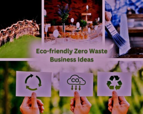 Zero-Waste Business Ideas