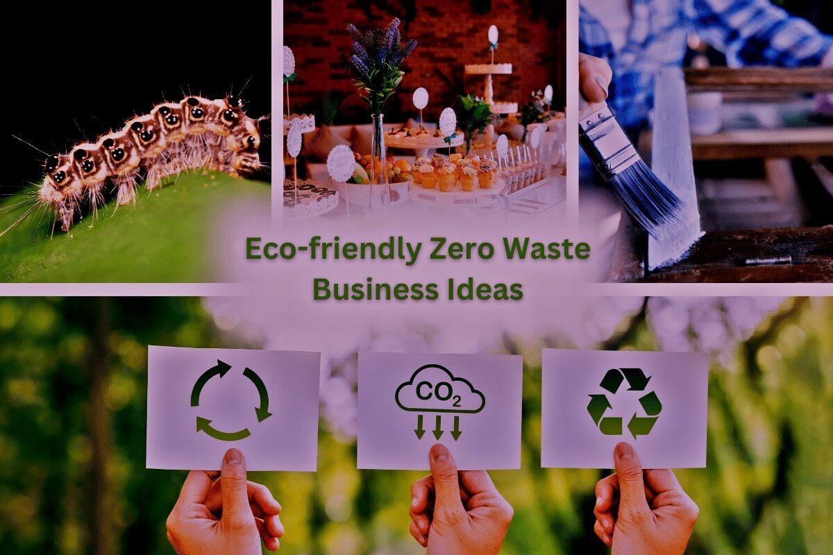 Zero-Waste Business Ideas