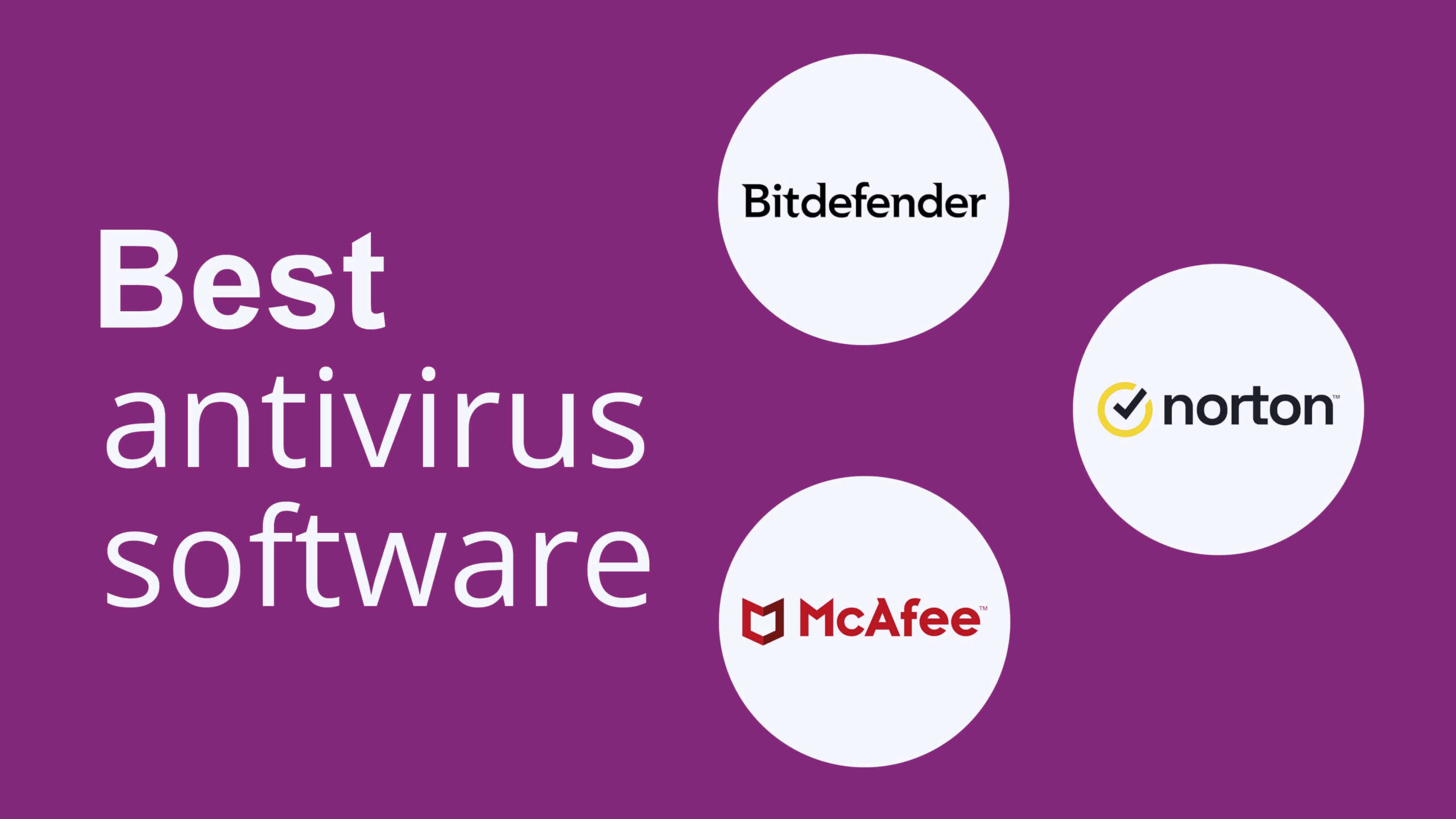 Best Antivirus Software for Windows & Android